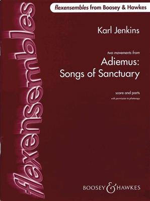 Karl Jenkins: Adiemus: Songs of Sanctuary: Ensemble à Instrumentation Variable