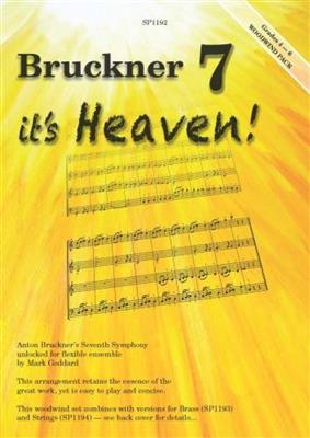 Anton Bruckner: Bruckner 7: Orchestre à Instrumentation Variable