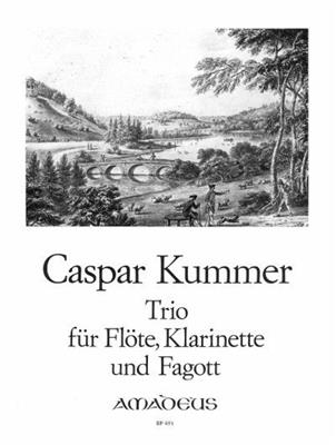 Caspar Kummer: Trio Op. 32: Bois (Ensemble)