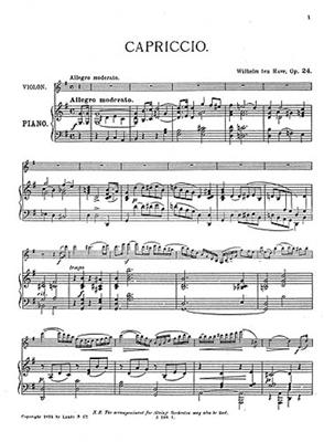 Willem Ten Have: Capriccio Op.24: Orchestre à Cordes