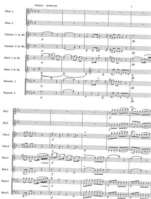 V.V. Maschek: Serenata In Eb: Bois (Ensemble)