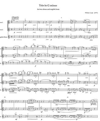 W. Luijt: Trio In G-Minor: Hautbois (Ensemble)