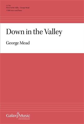Down in the Valley: (Arr. Henry Clough-Leighter): Voix Basses et Piano/Orgue
