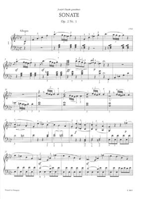 Ludwig van Beethoven: Klaviersonaten I: Solo de Piano