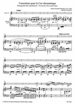 Johann Christoph Schuncke: Concertino pour le Cor chromatique: (Arr. Damm): Orchestre et Solo