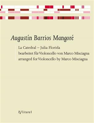Augustin Barrios Mangoré: La Caterdal: (Arr. Marco Misciagna): Solo pour Violoncelle