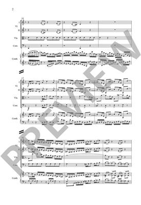 Johann Sebastian Bach: Harpsichord Concerto BWV 1052 In D Minor: Ensemble de Chambre